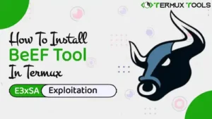 Install BeEF Tool